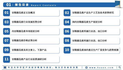2025年中国甘精胰岛素行业市场深度调查及投资前景预测报告