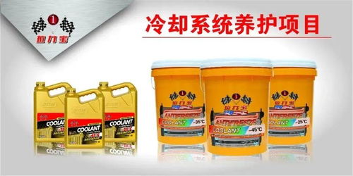 首届牧马人中国越野车手大赛圆满收官，卓越性能见证润滑油品质巅峰